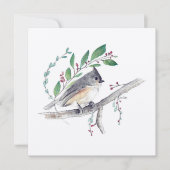 Tufted Titmouse Bird Art (Voorkant)