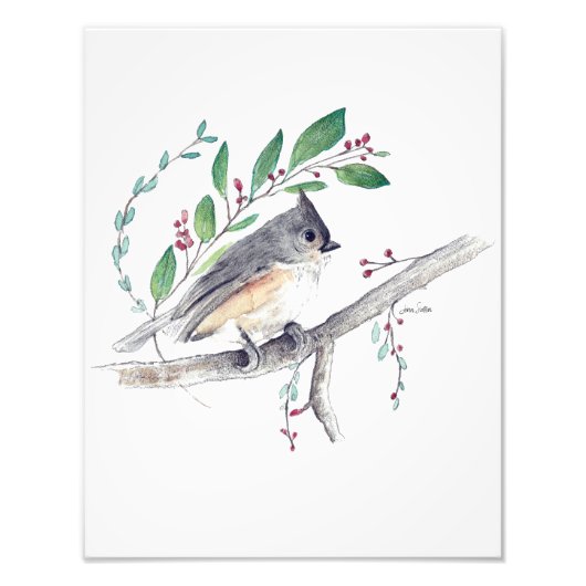 Tufted Titmouse Bird Art Photo Print Foto Afdruk (Voorkant)