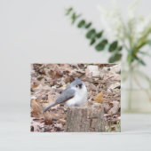 Tufted Titmouse Bird Briefkaart (Staand voorkant)