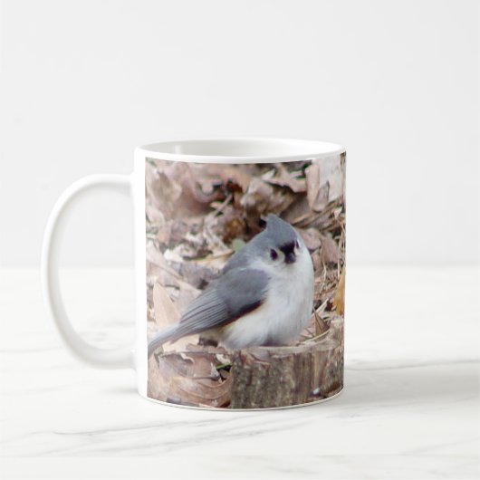 Tufted Titmouse Bird Mok (Links)