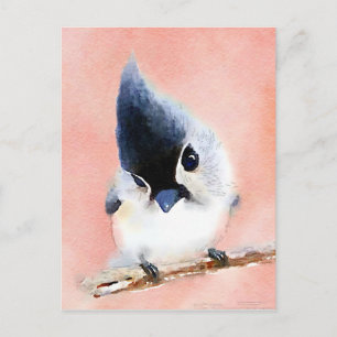 Tufted Titmouse Briefkaart