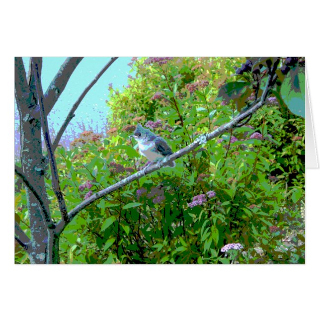 Tufted Titmouse Fledgling Baby Bird (Voorkant Horizontaal)