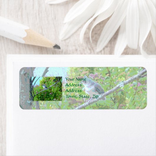 Tufted Titmouse Fledgling Baby Bird Etiket (Insitu)