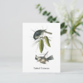 Tufted Titmouse, John Audubon Briefkaart (Staand voorkant)