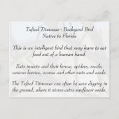 Tufted Titmouse - Learning Briefkaart - Florida (Achterkant)