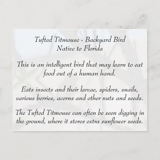 Tufted Titmouse - Learning Briefkaart - Florida (Achterkant)