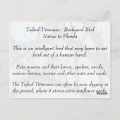 Tufted Titmouse - Learning Briefkaart - Florida (Achterkant)