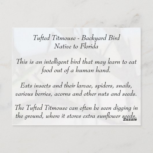 Tufted Titmouse - Learning Briefkaart - Florida (Achterkant)
