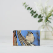 Tufted Titmouse op een Shagbark boom Visitekaartje (Staand voorkant)