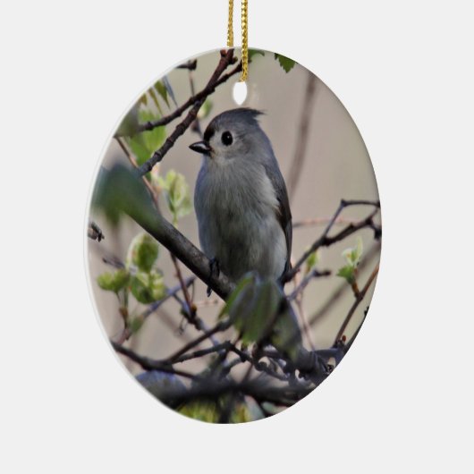 Tufted Titmouse Ornament (Rechts)