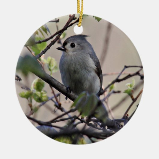 Tufted Titmouse Ornament (Voorkant)