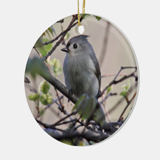 Tufted Titmouse Ornament (Links)