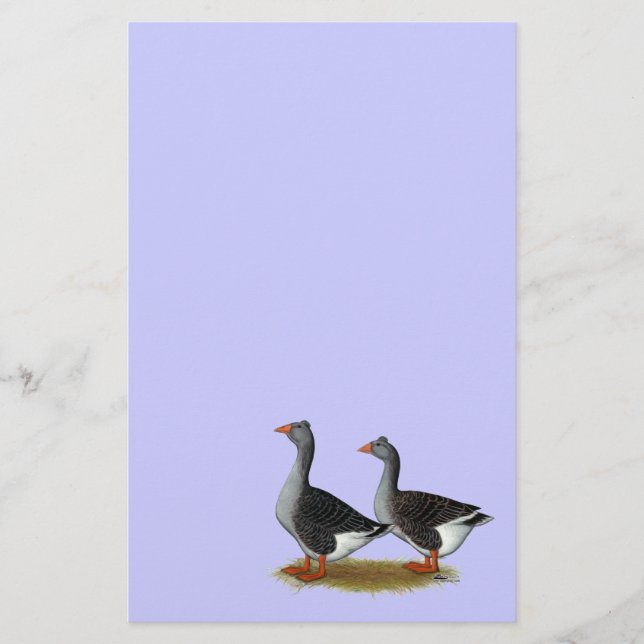 Tufted Toulouse Geese (Voorkant)