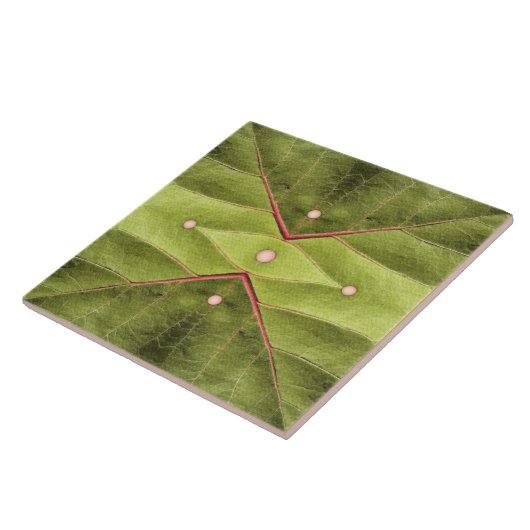 Tuften van olijven tegeltje (Zijkant)