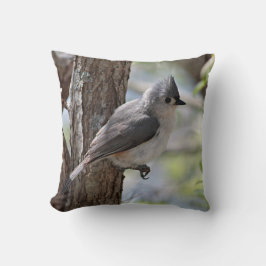 Tuftipmuis in het voorjaar kussen