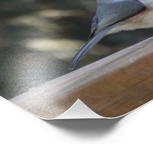 Tuftipmuis met tuft-up foto afdruk (Hoek)