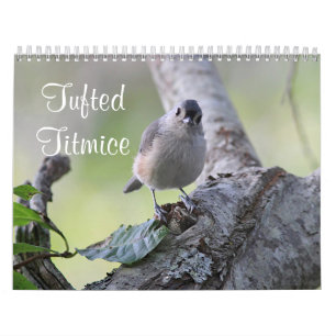 Tuftipus Kalender