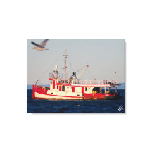 Tug Boat op Mutiny Bay met een vogel