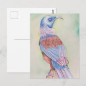 Tui - ansichtkaart briefkaart (Voorkant / Achterkant)