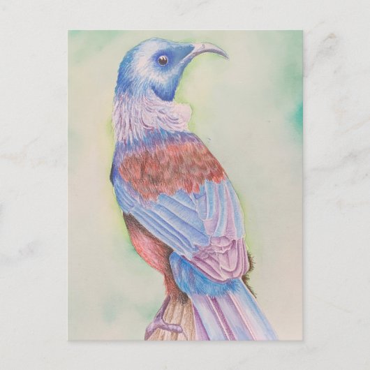 Tui - ansichtkaart briefkaart (Voorkant)