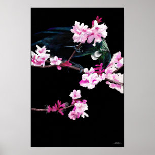 Tui Bird feed on Cherry Blossom - (GROTE) Poster