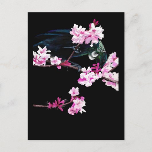 Tui Feeding on Cherry Blossom Briefkaart (Voorkant)