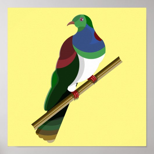 Tui Kereru NZ Bird Poster (Voorkant)