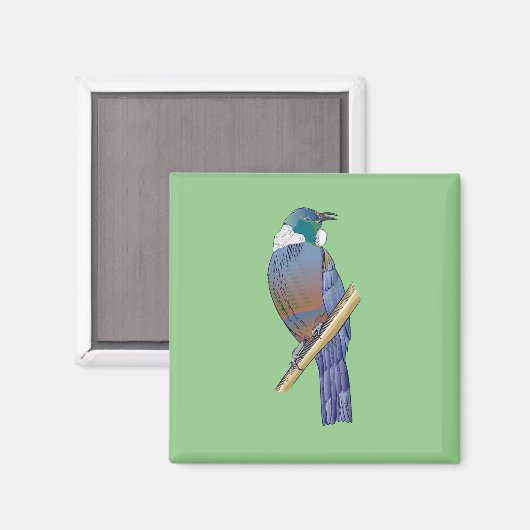 Tui New Zealand Bird Magneet (Voorkant / Achterkant)