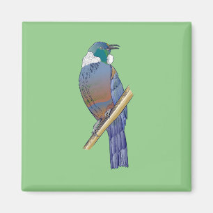 Tui New Zealand Bird Magneet