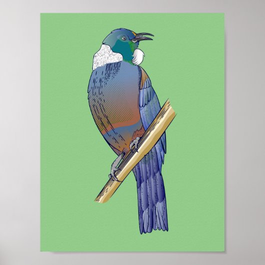 Tui New Zealand Bird Poster (Voorkant)