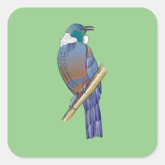 Tui New Zealand Bird Vierkante Sticker (Voorkant)