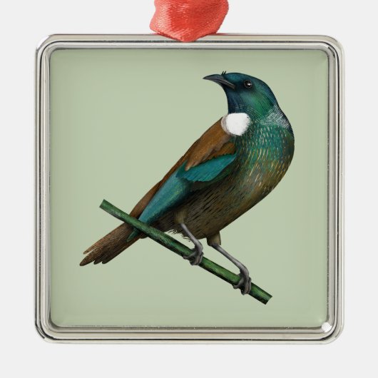 Tui Nieuw-Zeelands Vogel Metalen Ornament (Voorkant)