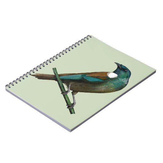 Tui Nieuw-Zeelands Vogel Notitieboek (Linkerzijde)
