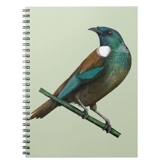 Tui Nieuw-Zeelands Vogel Notitieboek (Voorkant)