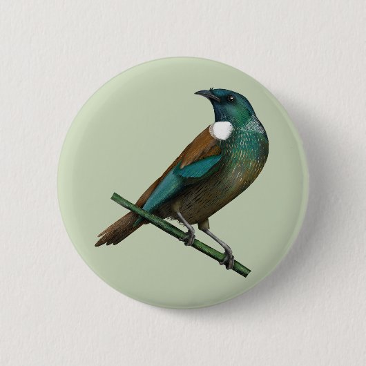 Tui Nieuw-Zeelands Vogel Ronde Button 5,7 Cm (Voorkant)