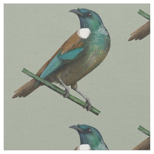 Tui Nieuw-Zeelands Vogel Stof (Close Up)