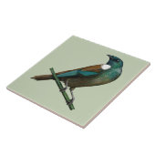 Tui Nieuw-Zeelands Vogel Tegeltje (Zijkant)