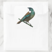 Tui Nieuw-Zeelands Vogel Vierkante Sticker (Tas)