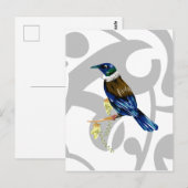 Tui NZ Bird Briefkaart (Voorkant / Achterkant)