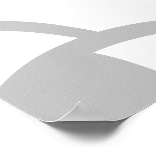 Tui NZ Bird Poster (Hoek)