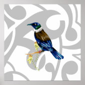 Tui NZ Bird Poster (Voorkant)