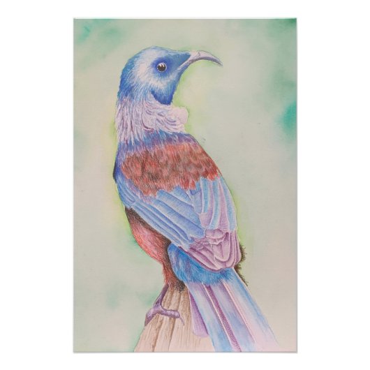 Tui - poster (Voorkant)