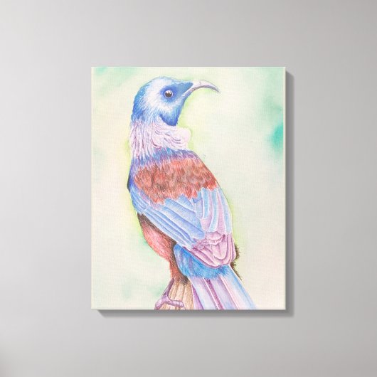 Tui Stretched Canvas Print (Voorkant)