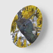 Tui van Aotearoa Ronde Klok (Hoek)