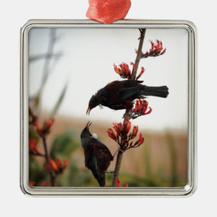 Tui vogels op Nieuw-Zeelandse vlas Metalen Ornament