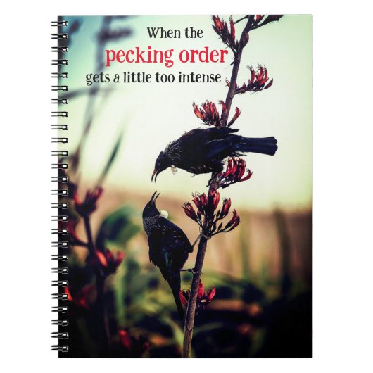 Tui vogels vechten op vlas notitieboek (Voorkant)