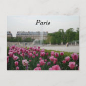 Tuileries Garden in bloom Briefkaart (Voorkant)