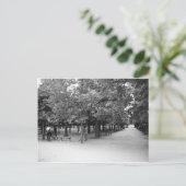 Tuilerijen — Bucolitisch landschap Briefkaart (Staand voorkant)