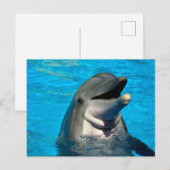 tuimelaar briefkaart (Voorkant / Achterkant)