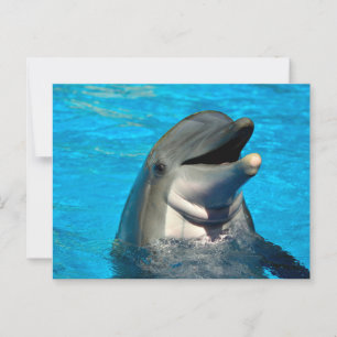 tuimelaar briefkaart